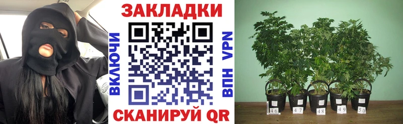 МЕТАДОН Видное