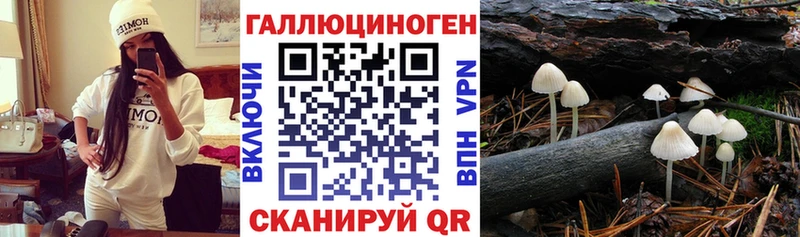 закладки  Видное  ссылка на мегу tor  Галлюциногенные грибы Psilocybine cubensis 
