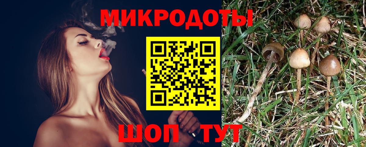 Видное  Галлюциногенные грибы GOLDEN TEACHER  Вход с VPN  Псилоцибиновые грибы ЛСД 