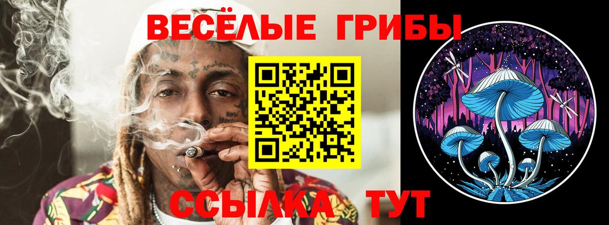 Псилоцибиновые грибы Psilocybine cubensis Видное